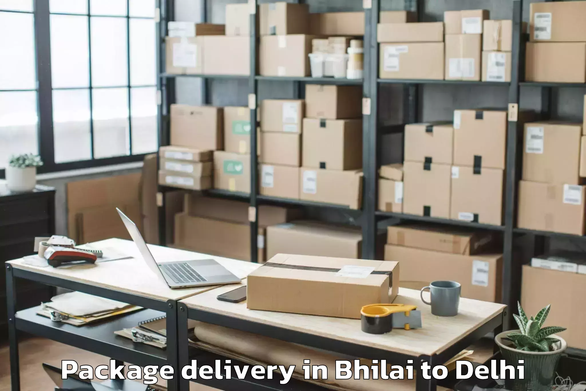 Professional Bhilai to Parsvnath Mall Akshardham Package Delivery